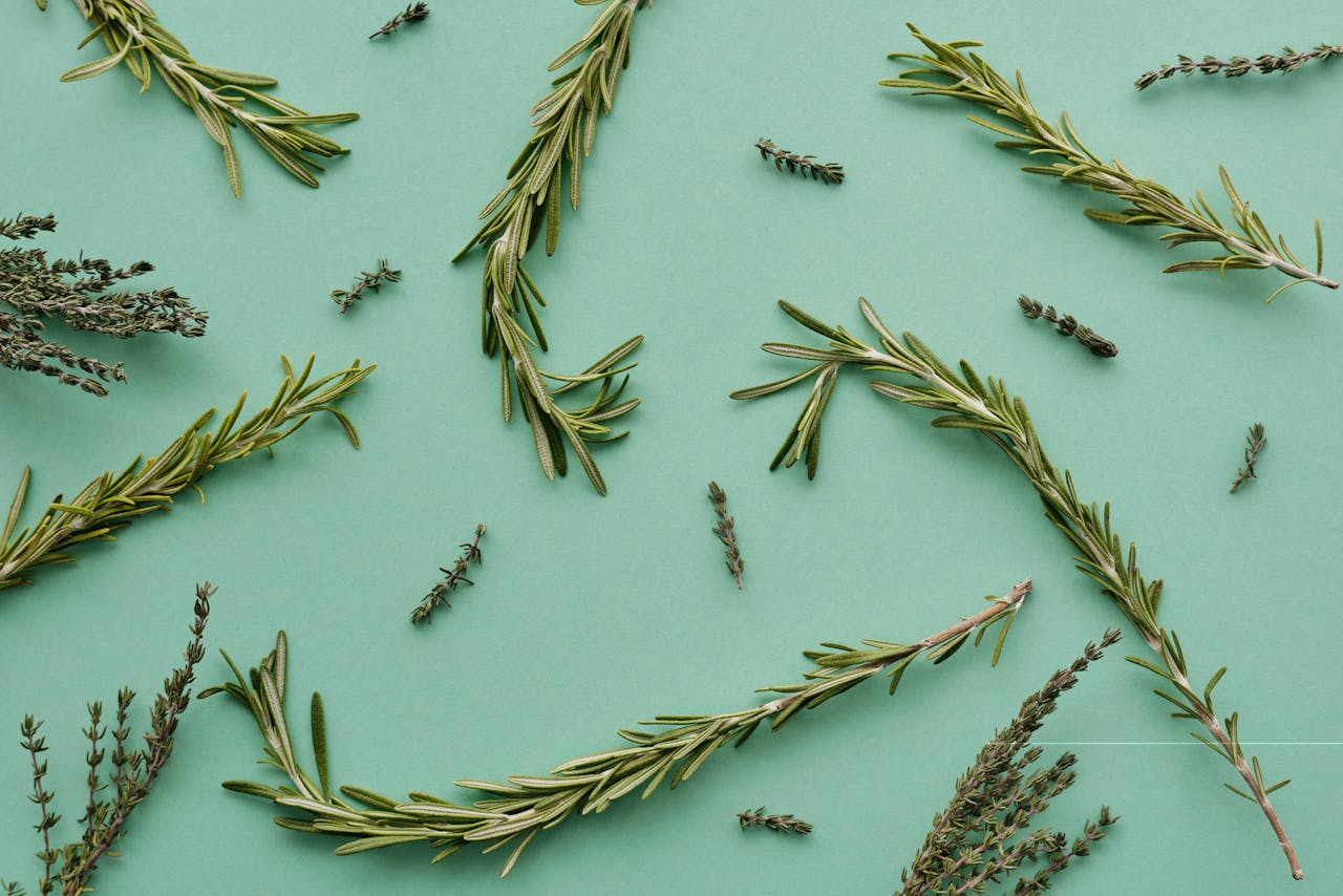 Flat lay of fresh rosemary and thyme sprigs on a green background, ideal for culinary themes.